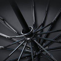 Storm  resistant Automatic Umbrella structure in black